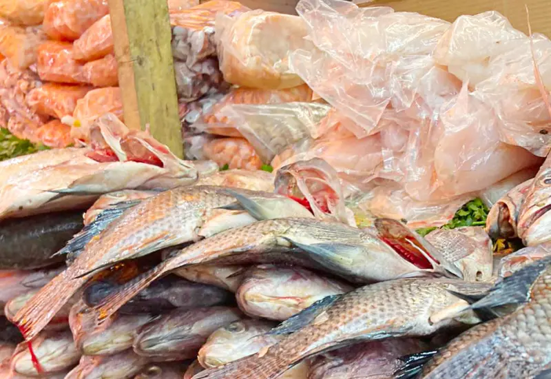 venta_mariscos_por_cuaresma_oaxaca