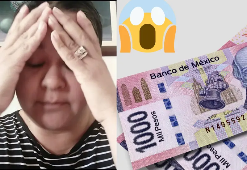 estafan_maestra_cien_mil_pesos_whatsapp