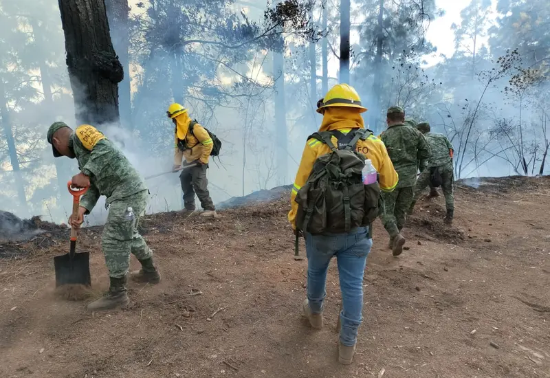 combaten_incendio_forestal_asuncion_mixtepec