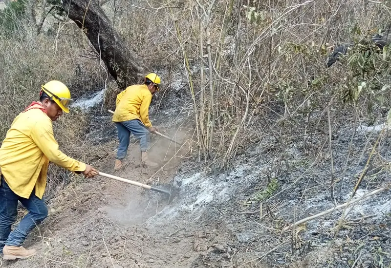 incendio-oaxaca