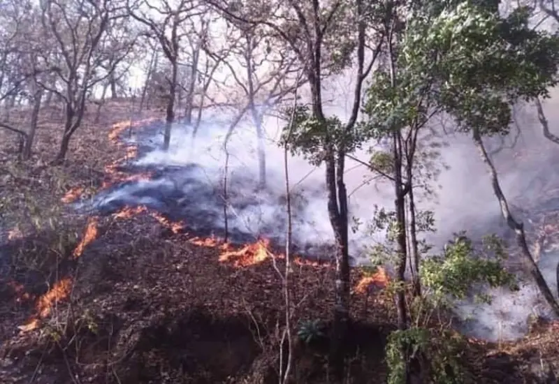 incendio-oaxaca