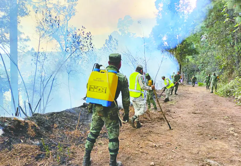 incendio-oaxaca