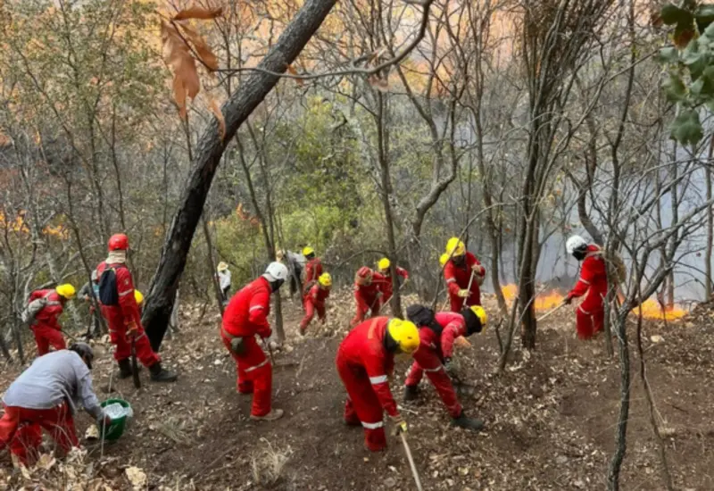 incendio-portada