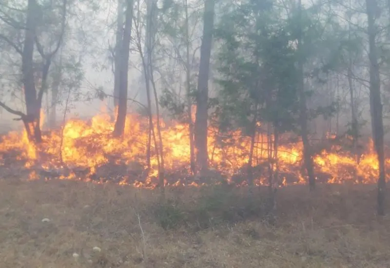incendio-portada