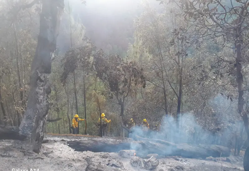 incendio-oaxaca