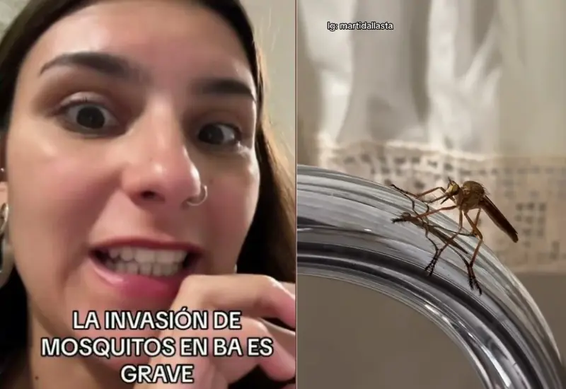mujer_panico_zancudo_gigante