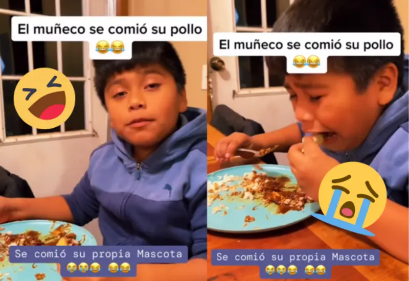 niño-pollo-portada