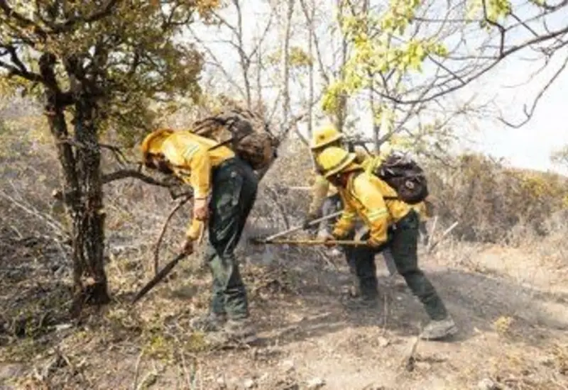 plan_estrategico_liquidacion_incendio_quiavini