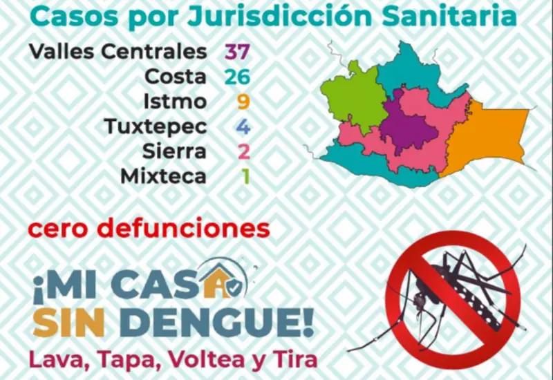 portada-dengue