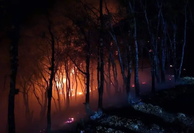 portada-incendio