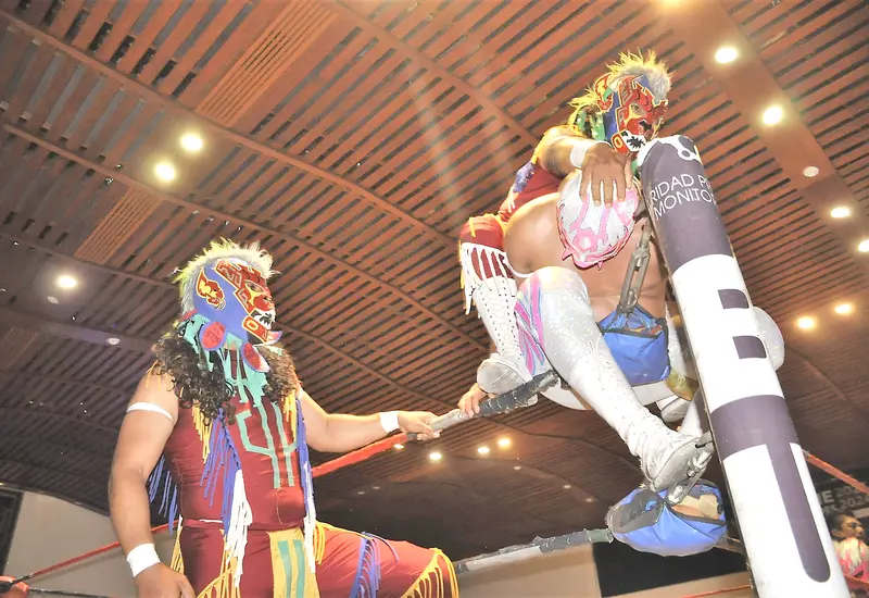 portada-lucha