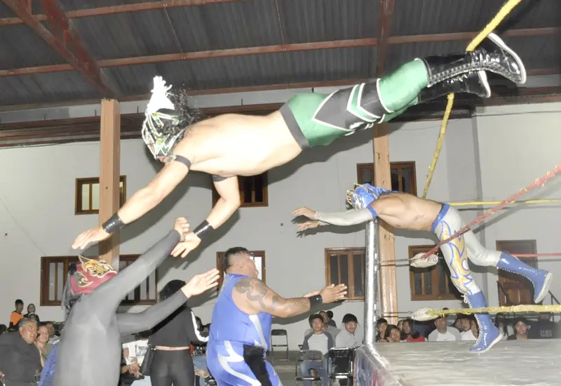 portada-lucha