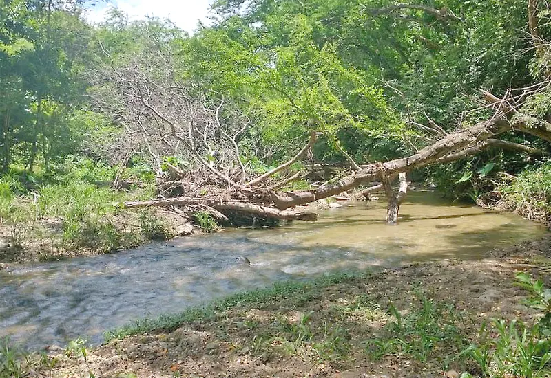 rio-oaxaca