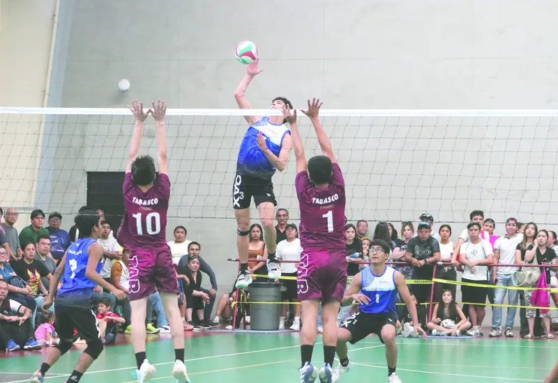 voley-portada