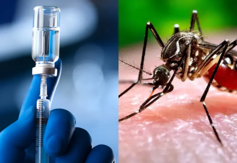 dengue-vacuna-portada