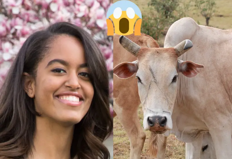 piden_mano_malia_hija_obama
