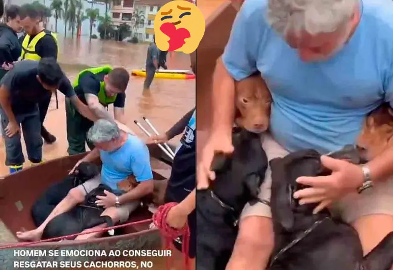 hombre_rescata_lomitos_inundacion