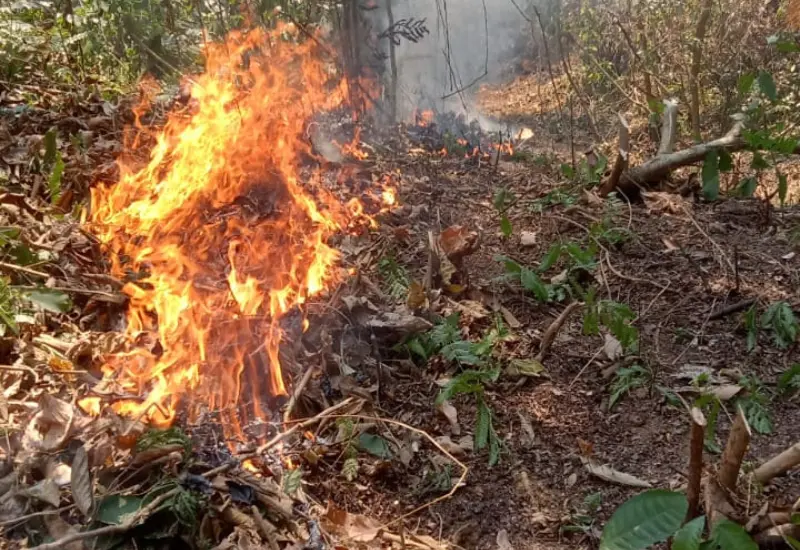controlado_incendio_pluma_hidalgo_pochutla
