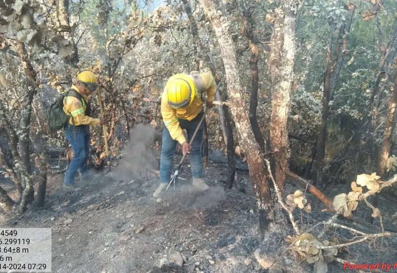 controlan_incendio_forestal_san_francisco_cajonos