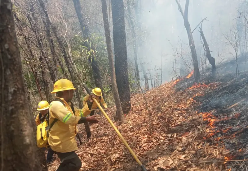 incendio-portada