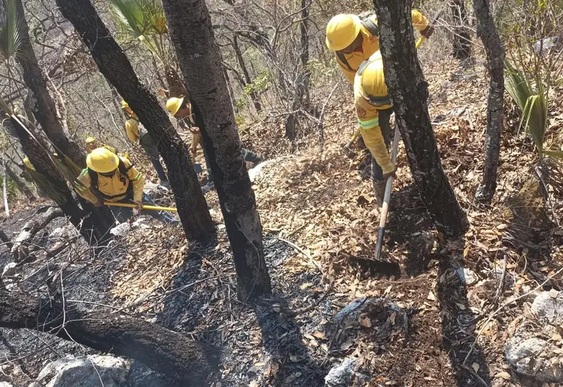 incendio-portada