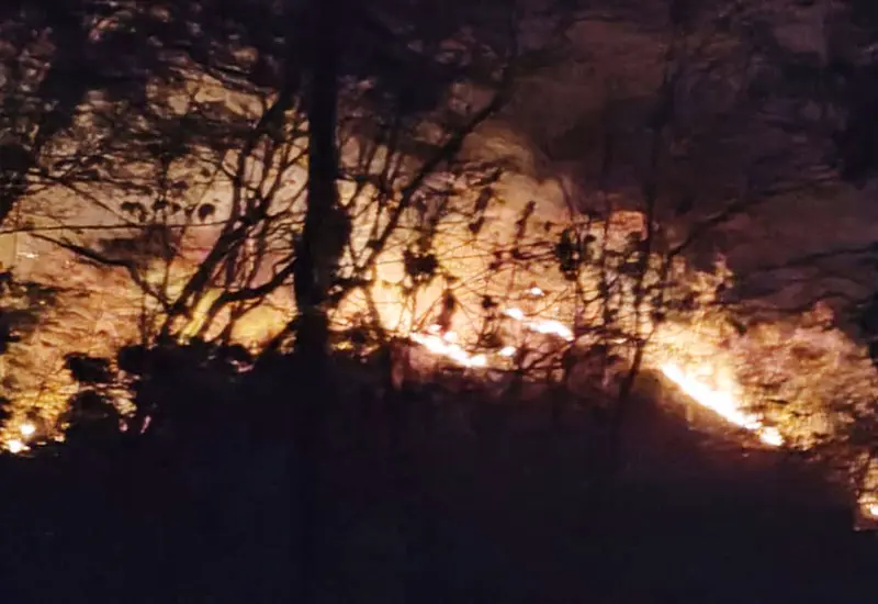incendio-portada