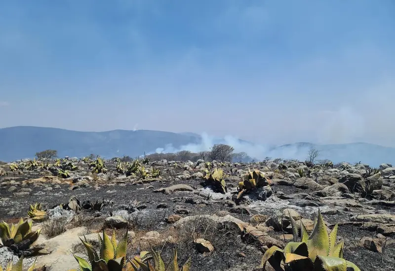 incendio-portada