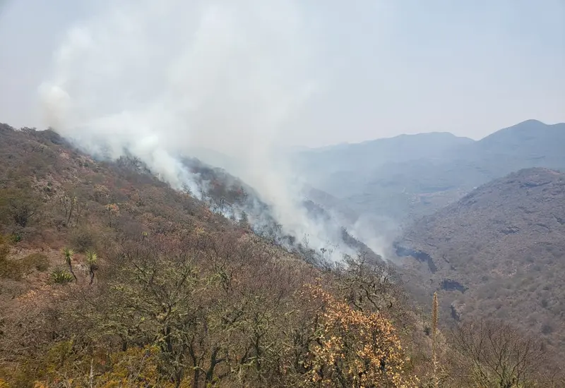 incendio-portada