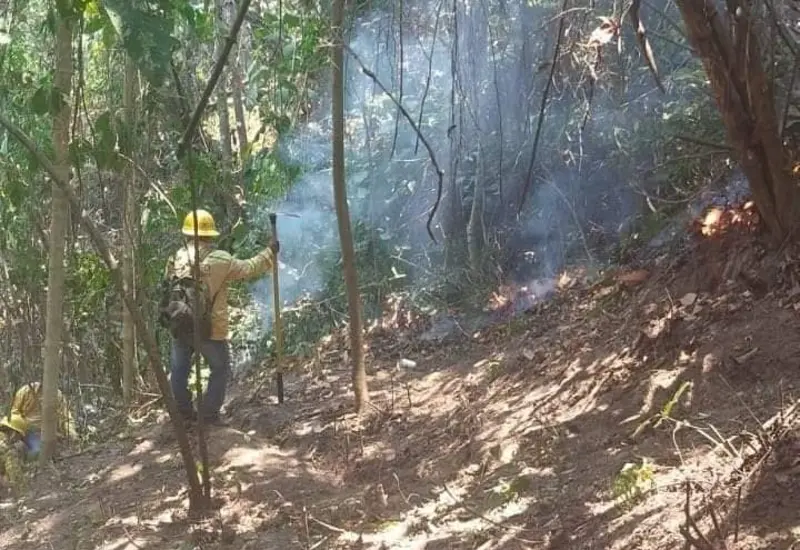 incendio-portada