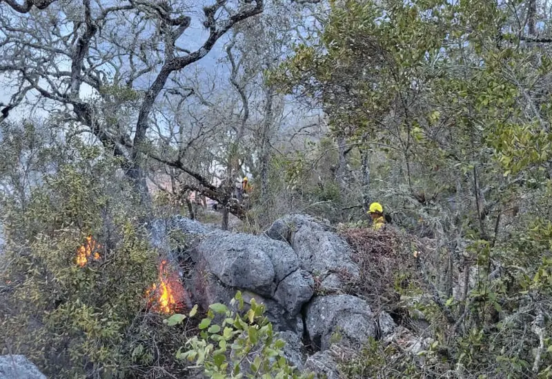 incendio-portada