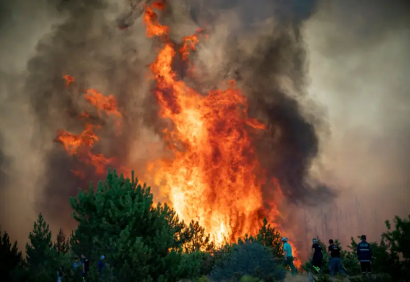 incendio-portada