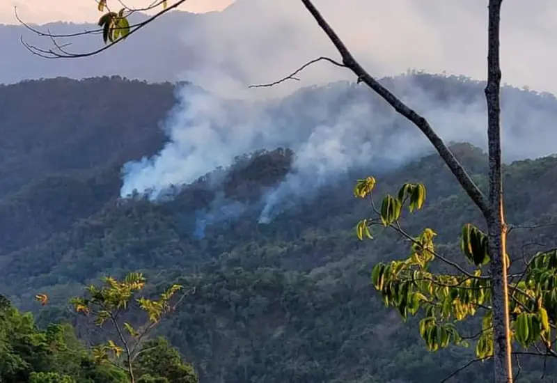 incendio-portada