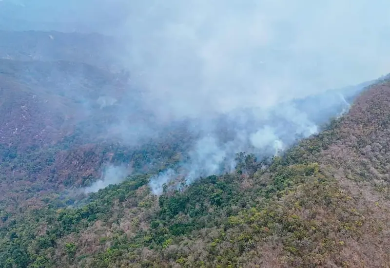 incendio-portada