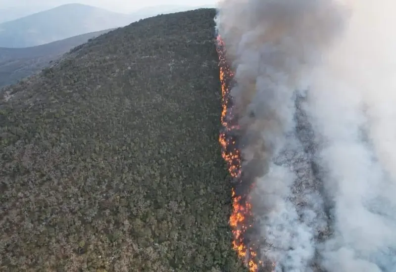 incendio-portada