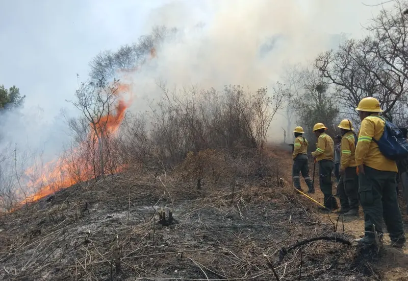 incendio-sierra-juarez2