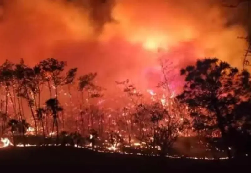 incendio_forestal_san_mateo_sindihui