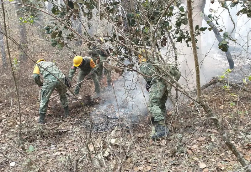 incendios-forestales