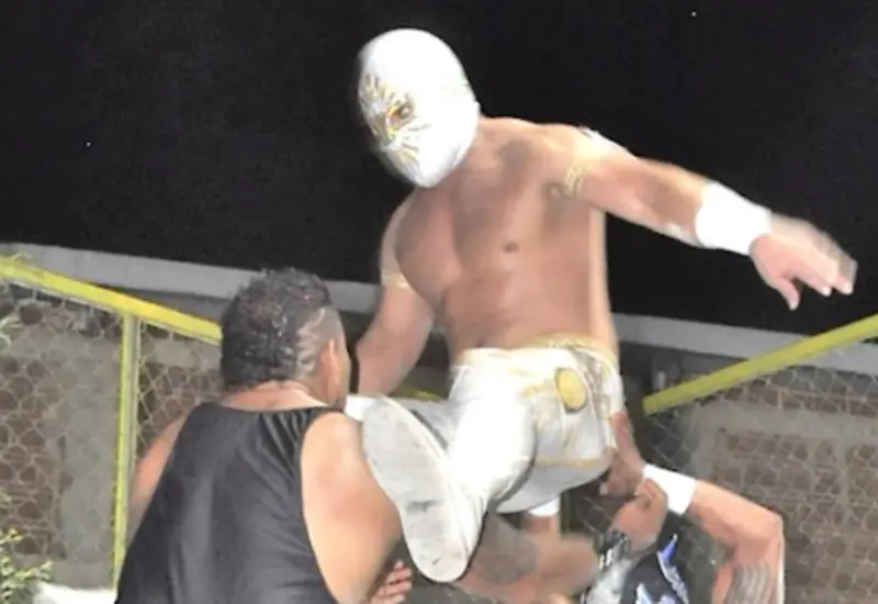 lucha-portada