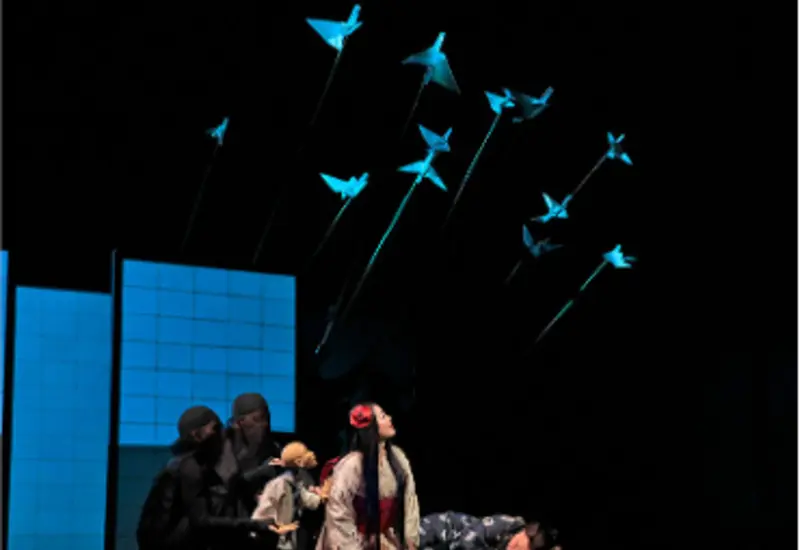 madame-butterfly