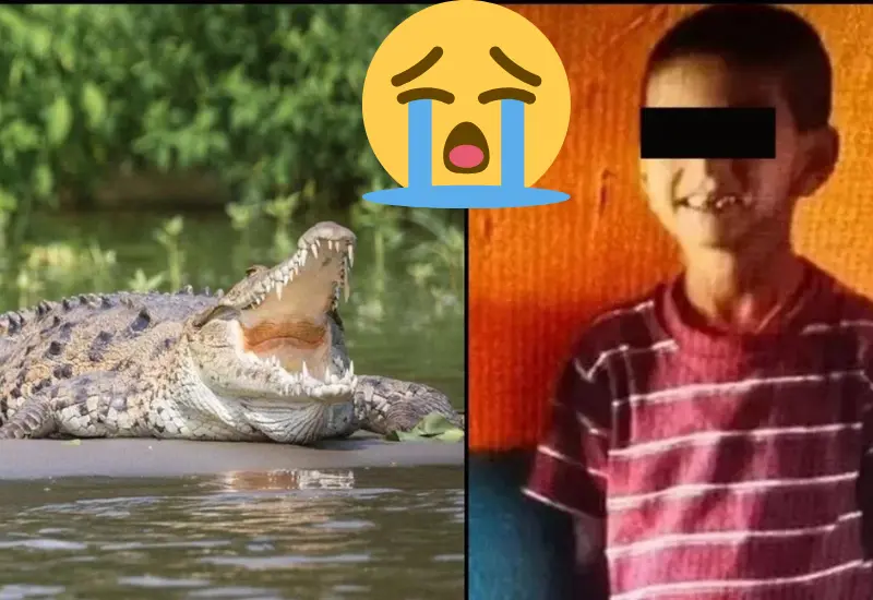 madre_habria_arrojado_hijo_cocodrilos