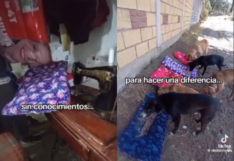 perros-politicos-portada