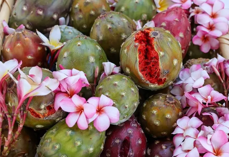 pitaya