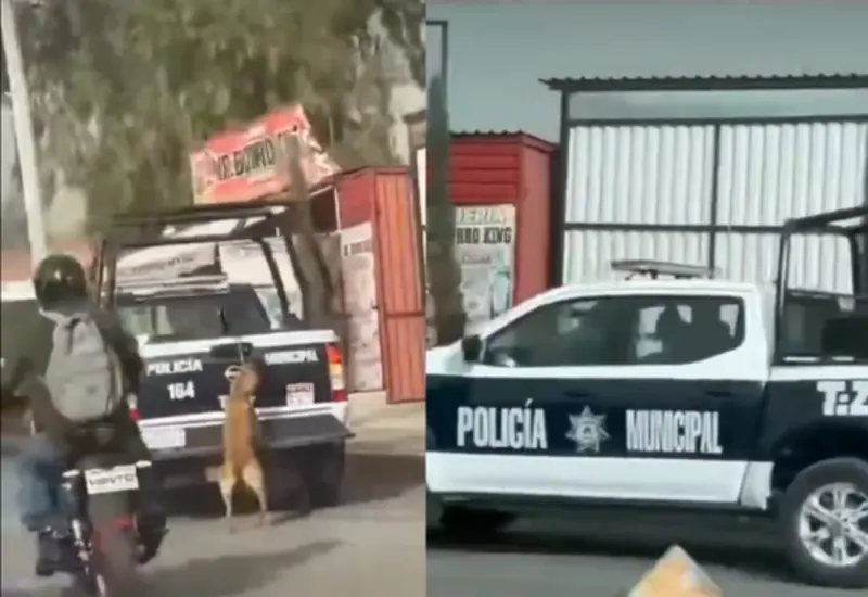 policia-perro