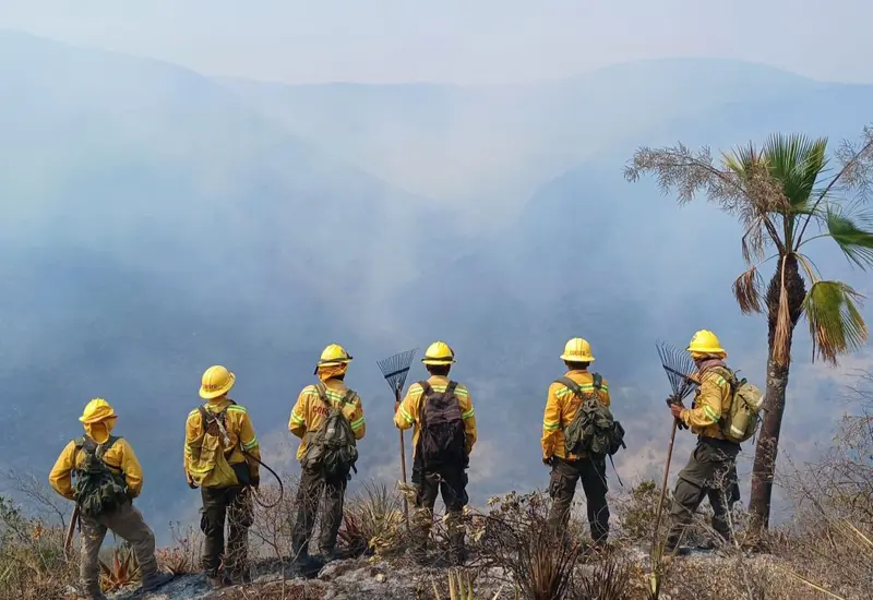 portada-incendios