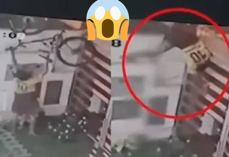 ladron_queda_atorado_puas_muere
