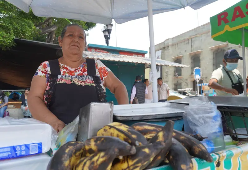 trabajo-oaxaca