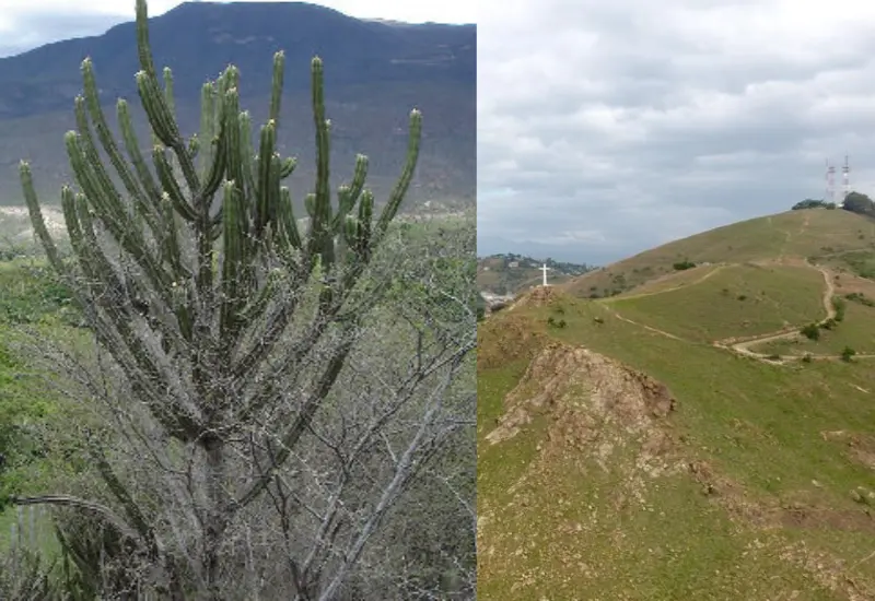 areas_naturales_protegidas_estatales_oaxaca