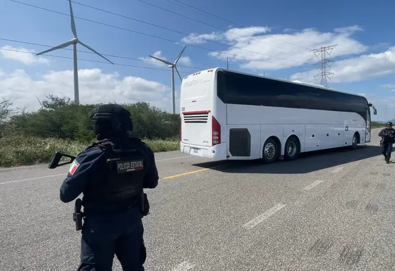 Fueron trasladados a estaciones migratorias de Guerrero y Campeche.