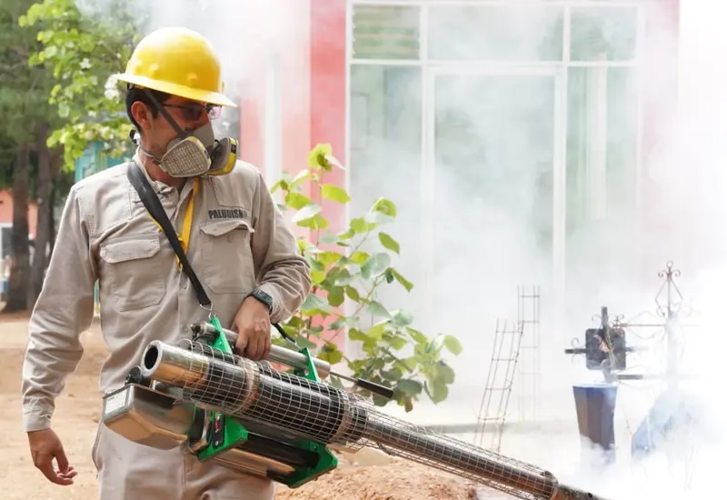 Oaxaca de Juárez es el municipio con mayor incidencia de casos de dengue.
