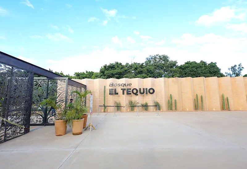 Desde 1991, el Bosque “El Tequio”, no recibía una atención profunda.